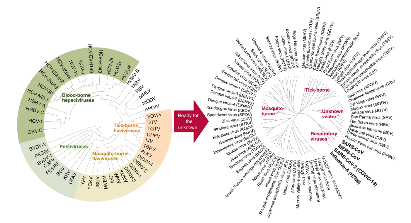 Pandemic preparedness planning for known, unknown, and understudied viruses.