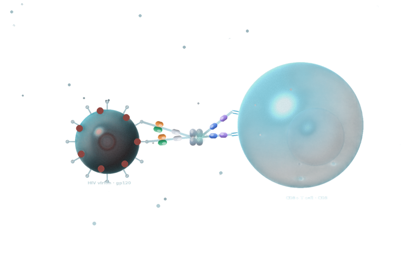 3D trispecific T-cell engager workflow visual for HIV targeting and immune-cell engagement.